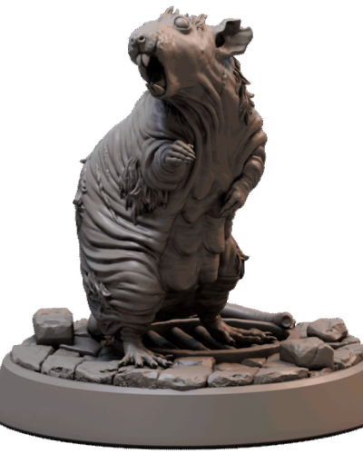 Balding_Giant_Rat