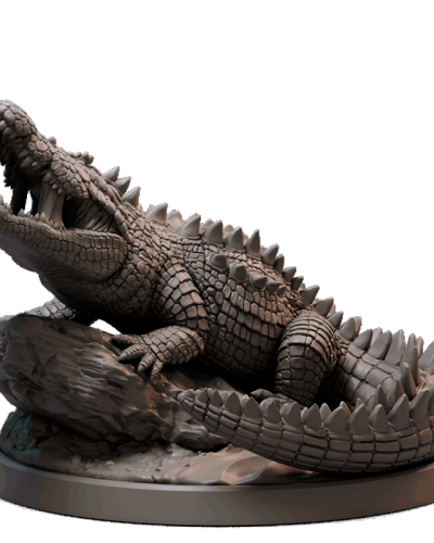 Crocodile
