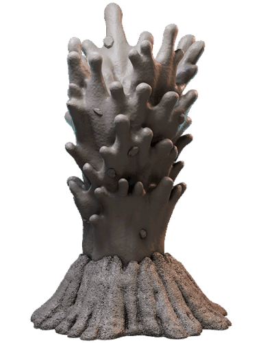 Eruption