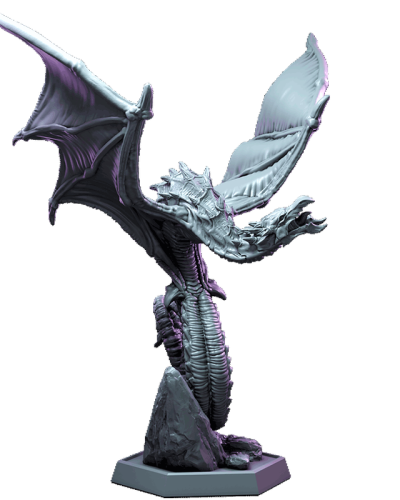 Juvenile_Diverger_1