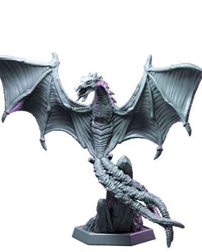 Juvenile_Diverger_2