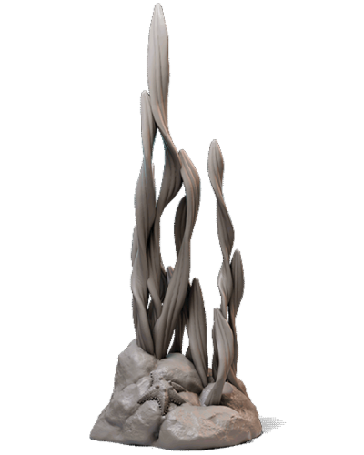 Seaweed-2