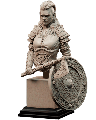 Viking_Pirate